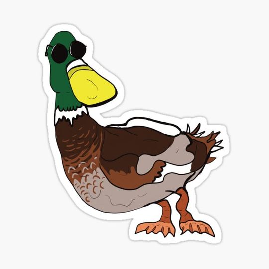 Discover Cool Duck