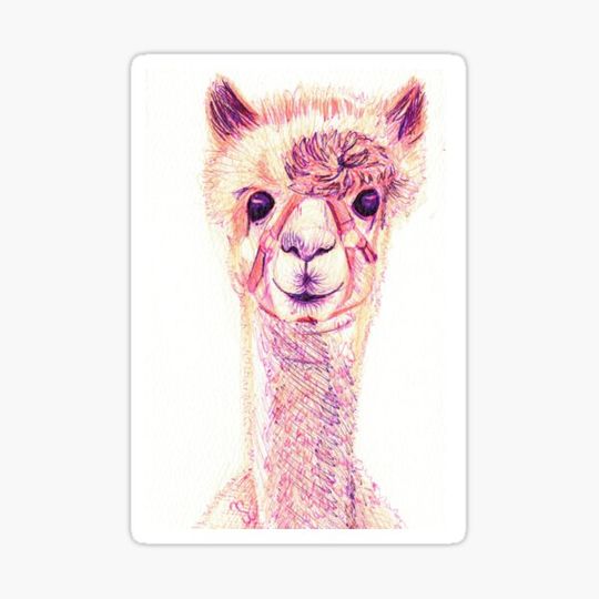 Discover Snazzy Alpaca