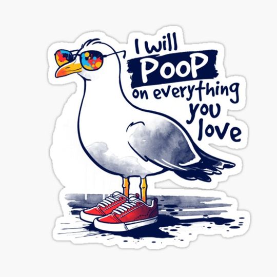 Discover Seagull poop