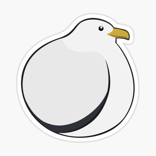 Discover North American Gull Ball