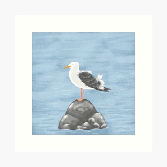 Discover Seagull