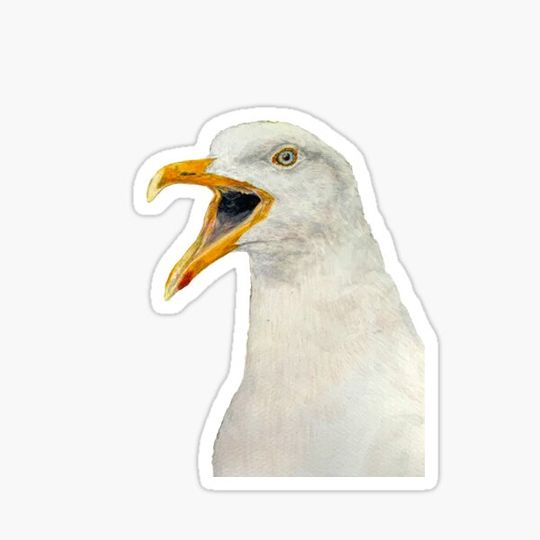 Discover Realistic hand painted Watercolor of a seagull