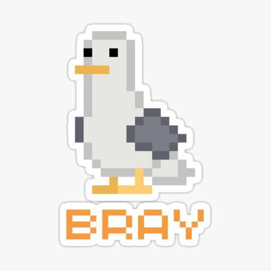 Discover The Seagull