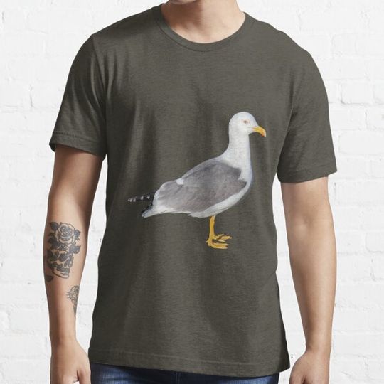 Discover Yellow Legged Gull