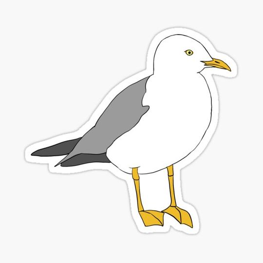 Discover Ned the Gull