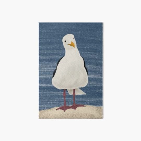 Discover Seagull