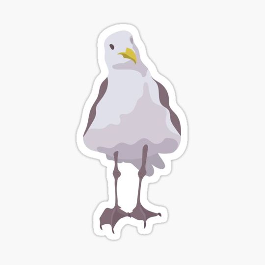 Discover SEAGULL PATTERN