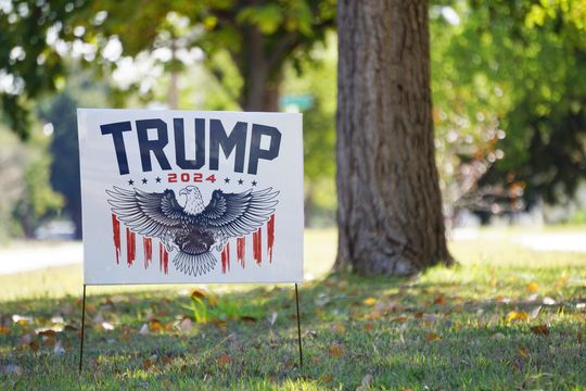 Discover Trump 2024 Election Eagle, Election 2024, Trump Yard Sign