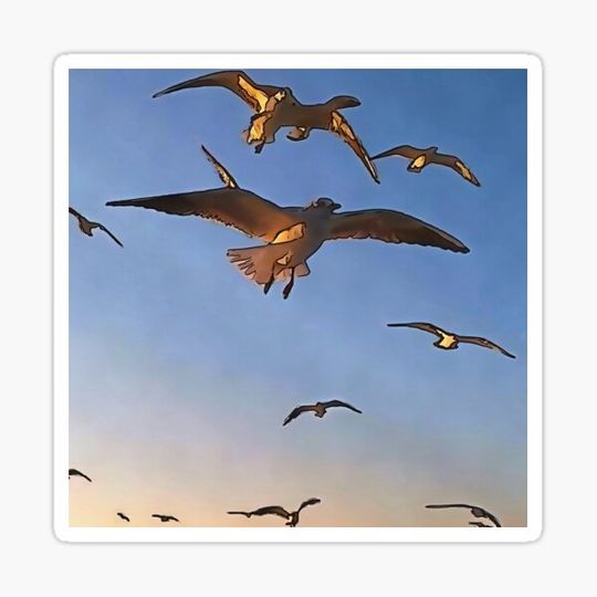 Discover Seagulls In Flight Black Outline Art