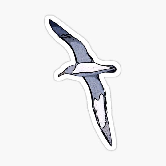 Discover Chatham Albatross Black Alternate Print Painting Design