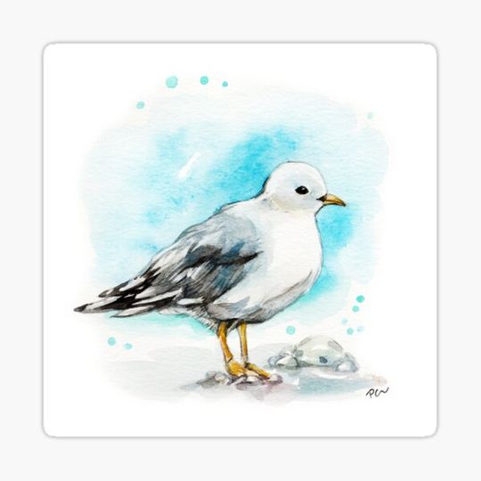 Discover Seagull a
