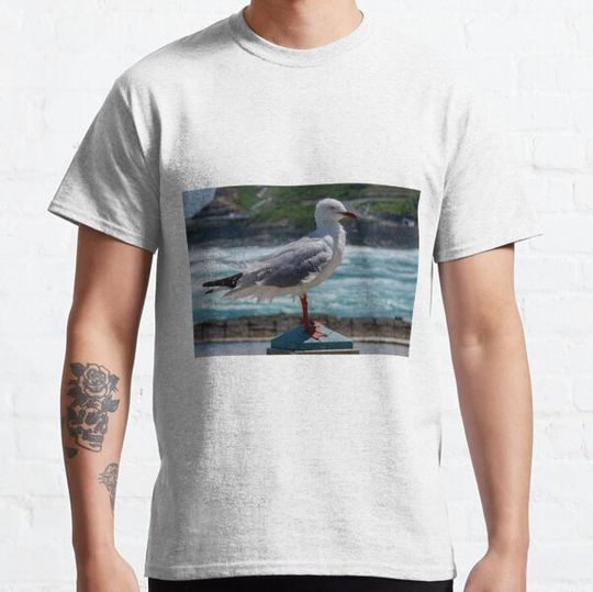 Discover Lonely Seagull