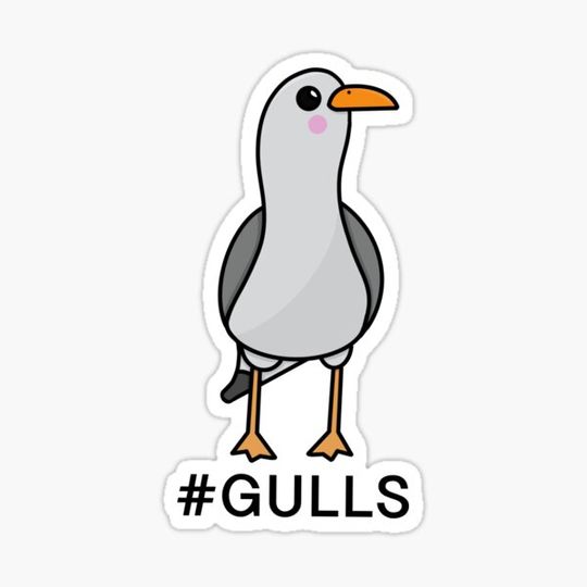 Discover Goals - Seagull Pun