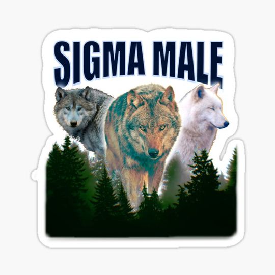 Discover Sigma Male