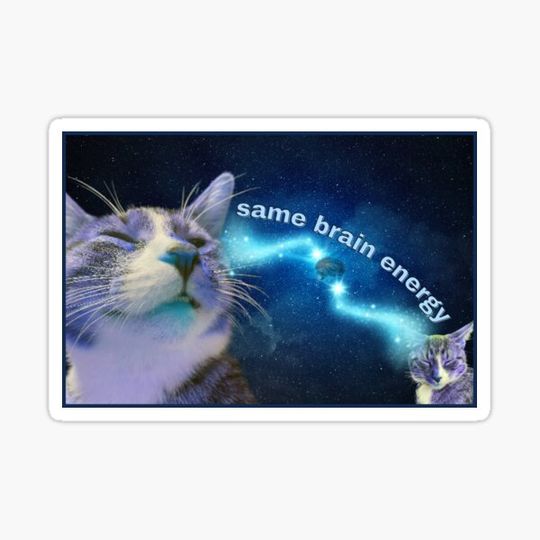 Discover same brain energy | Cat Meme