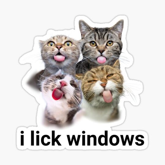 Discover Cursed Cat, Funny Meme Shirt, Ironic Shirt, Cat Lover Gift, Oddly Specific, Unhinged Shirt, Cursed, Cringe