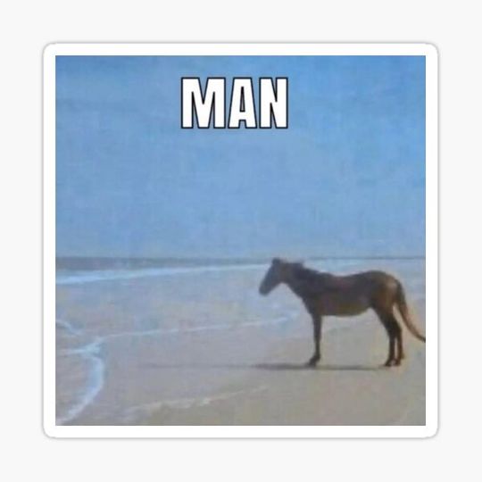 Discover horse man meme