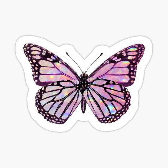 Discover Pink Holographic Butterfly