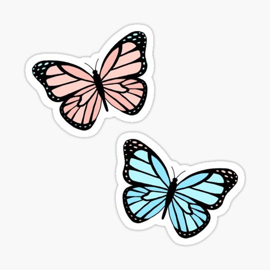 Discover Pink and Blue Butterflies