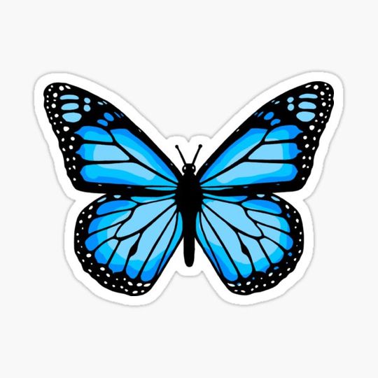 Discover Blue Butterfly