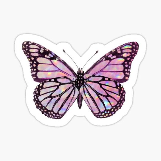 Discover light pink butterfly