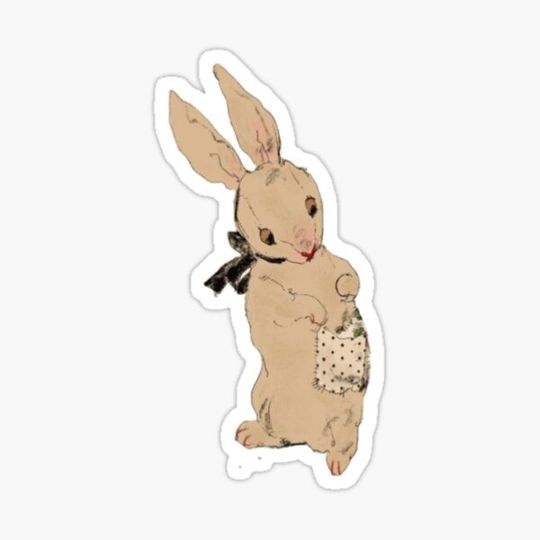 Discover Cute Raggedy Bunny