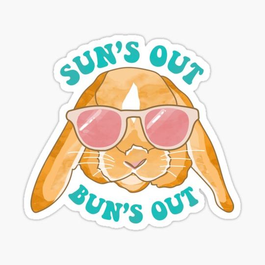Discover Sun's Out, Bun's Out Rabbit Illustration