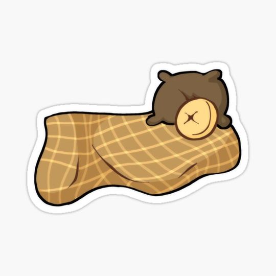 Discover Cozy Blankets & Pillows || Rainy Days