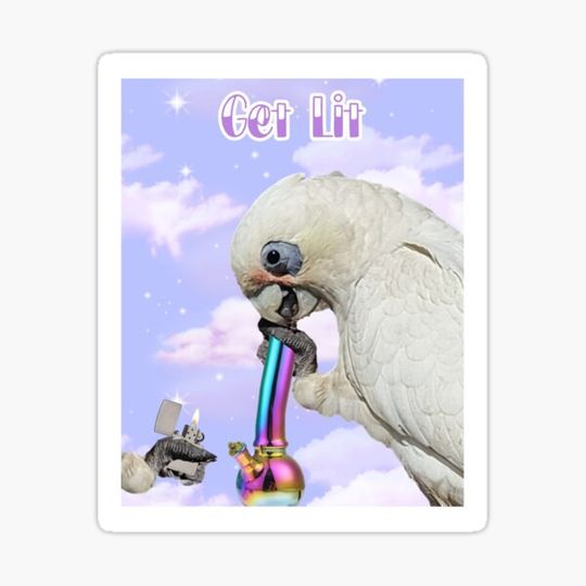 Discover Get Lit
