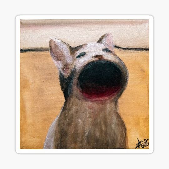 Discover Pop Cat