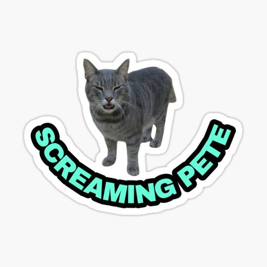 Discover Screaming Pete #3