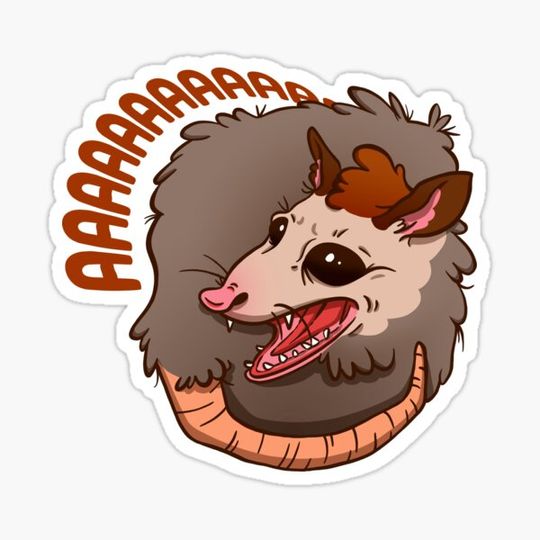 Discover AAA Possum