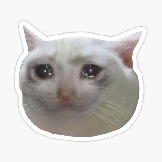 Discover Crying Cat Meme #4
