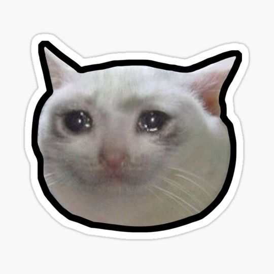 Discover Crying Cat Meme #4 (Black Outline)