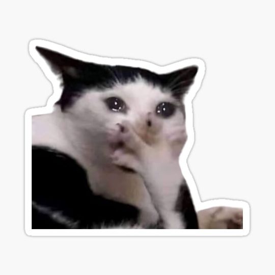 Discover Cat crying Meme