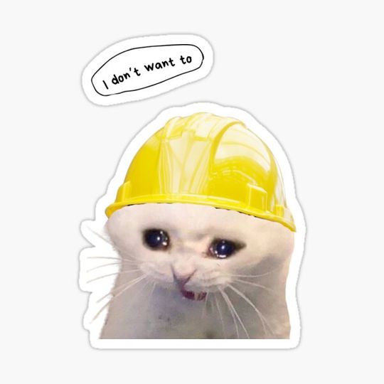Discover Crying Catwithhardhat Meme Sticker