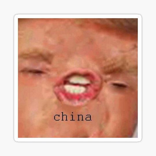 Discover Trump Sticker