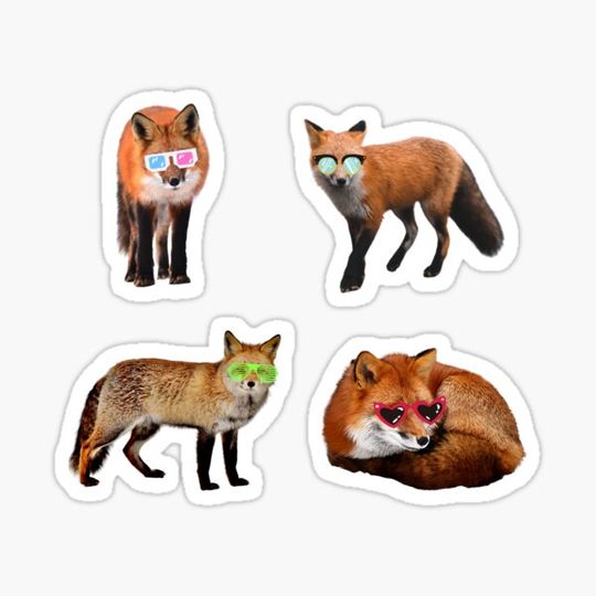 Discover Cool Foxes Pack