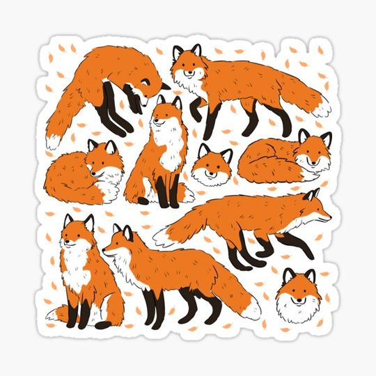 Discover Foxes cute illustration pack  - adorable fox pattern