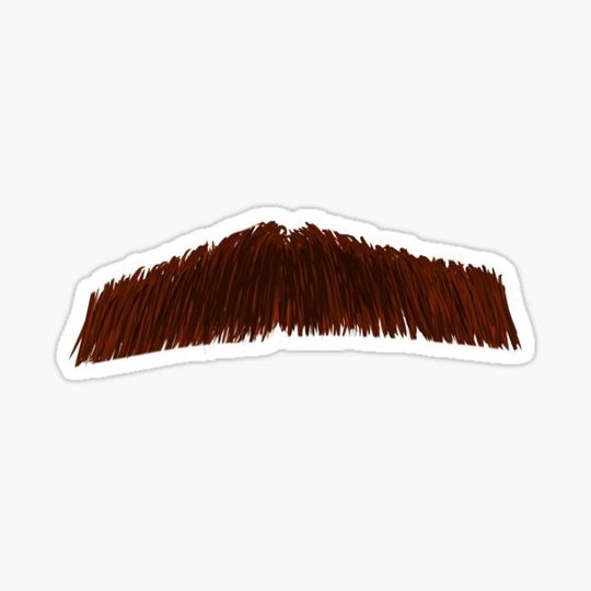 Discover The Stache