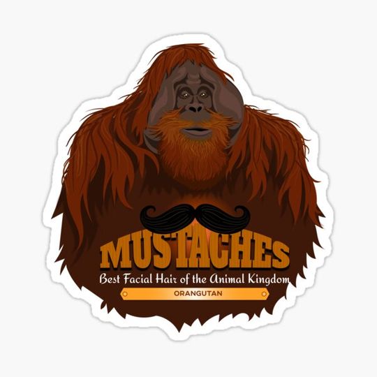 Discover Mustaches: Orangutan