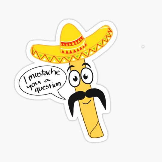 Discover Taquito Bro