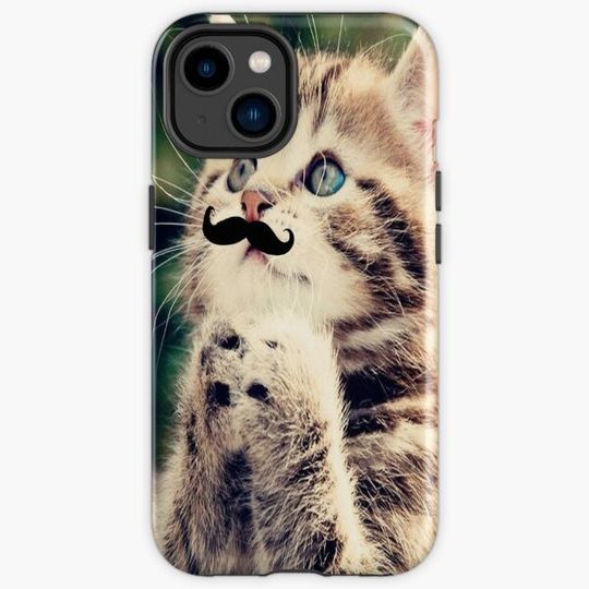 Discover Mustache Kitten