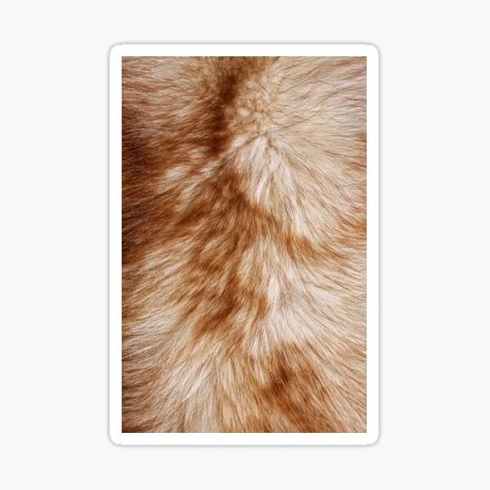 Discover rough fur texture cloth abstract