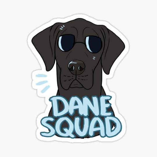 Discover DANE SQUAD (black)