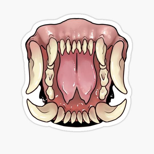 Discover Sharp Teeth