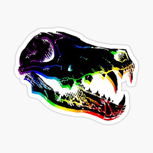 Discover Rainbow Fox Skull