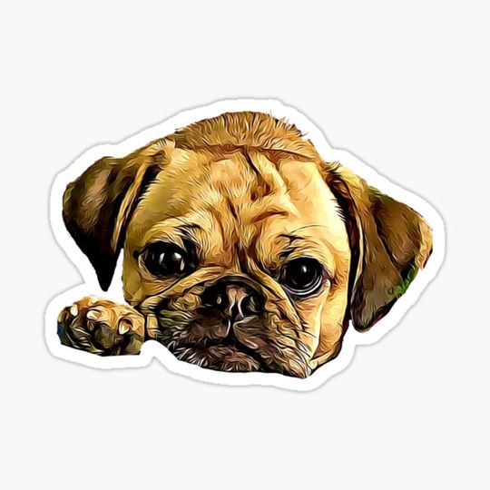 Discover Cartoonized Puggle