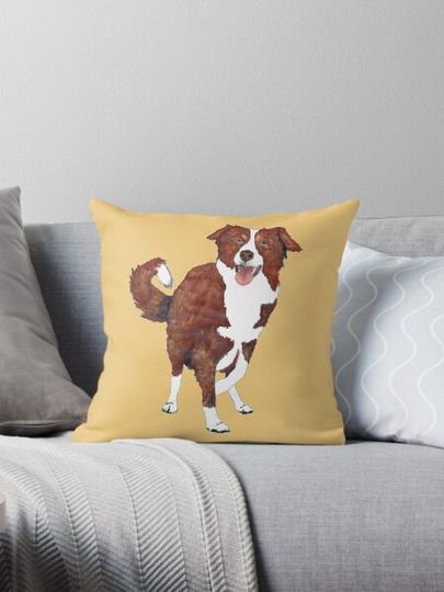 Discover Red Border Collie