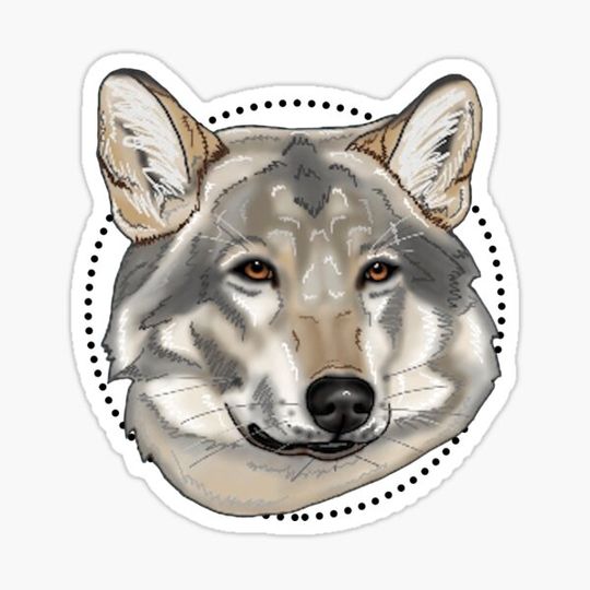 Discover Wise Wolf